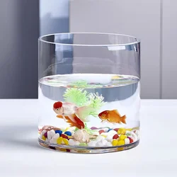 Manufacturer Customized Large 20 gl Fish Holding Tank Aquarium For Cube Fish Glass Tank