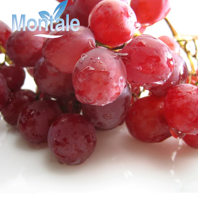 top quality Wholesale red globe hot selling premium quality  fresh grapes