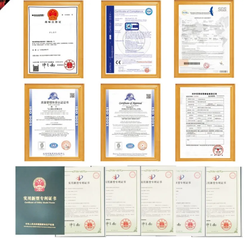 790-solar pump certificate