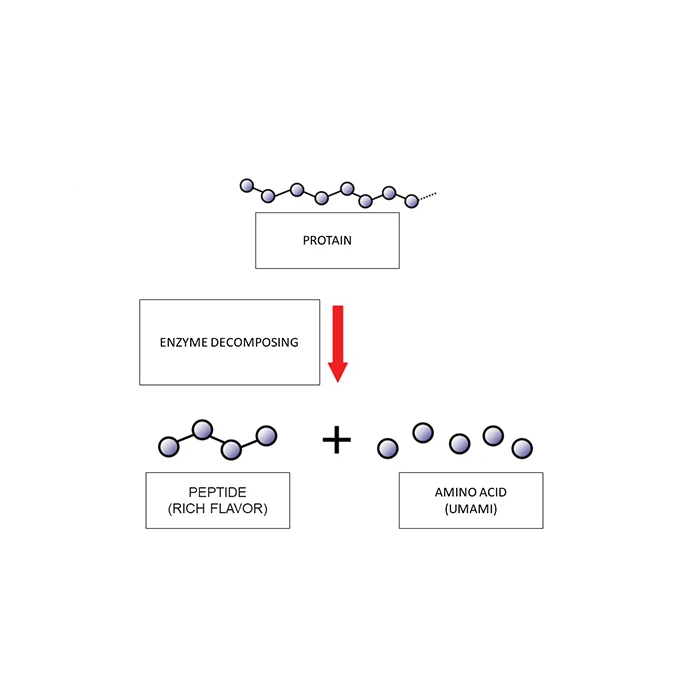 Delicious fresh bonito kombu dashi ramen seasonings for instant noodle