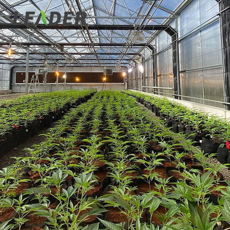 30 x 100 modern light deprivation hemp grow steel pipe plastic cover automatic big greenhouse framework