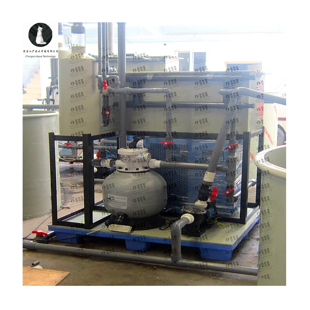 Sea water Recirculating Aquaculture Systems Modern Agriculture Fish Farming