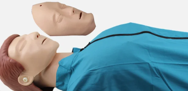 Half Body Adult CPR Manikin For First Aid Training