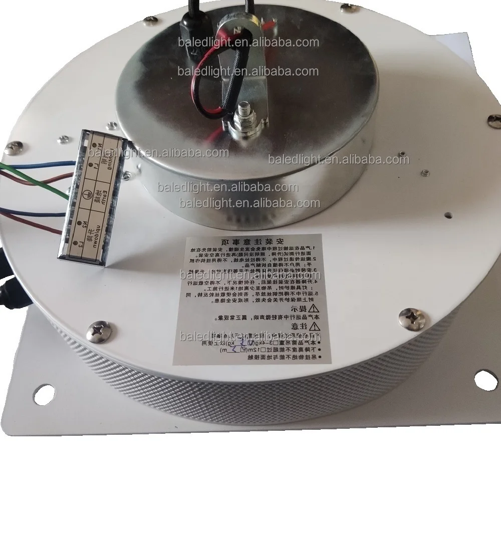 Light duty crane remote lighting lifter 20kg 40kg