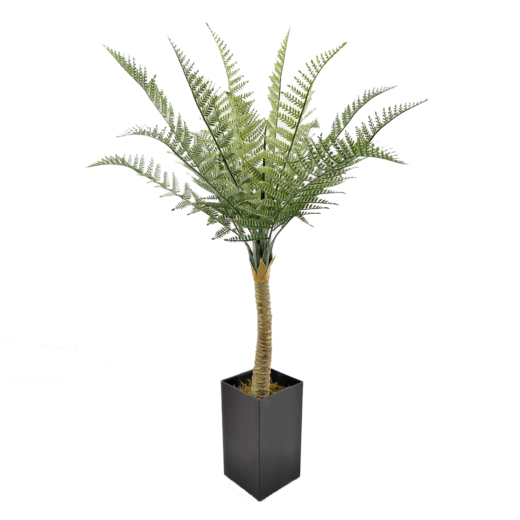 Nordic wind simulation plant simulation golden monkey fern green plant potted indoor decoration artificial plastic tree greenery
