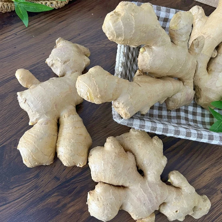 Fresh china ginger wholesale high quality fresh and air dry ginger on sale