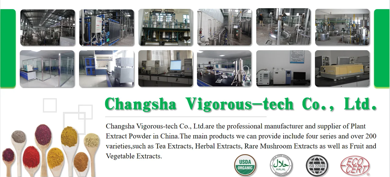 Free sample powdered natural seasoning wasabi powder high quality freeze dried wasabi powder