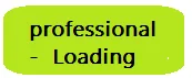 Professional loading.png