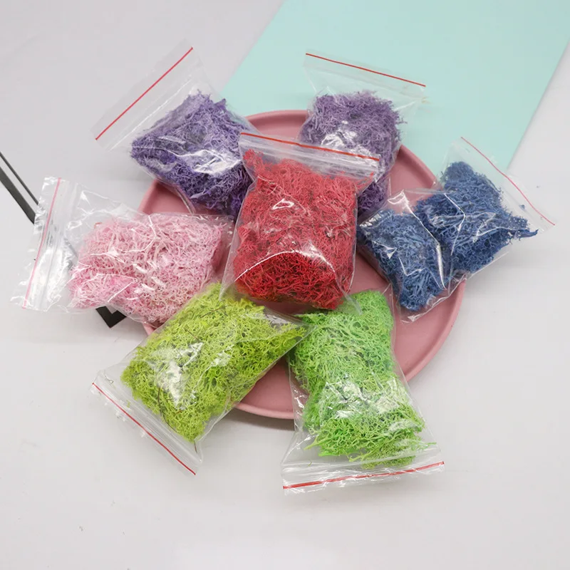 10g/bag wholesale indoor natural green decorative lichen DIY materials moss wall preserved moss
