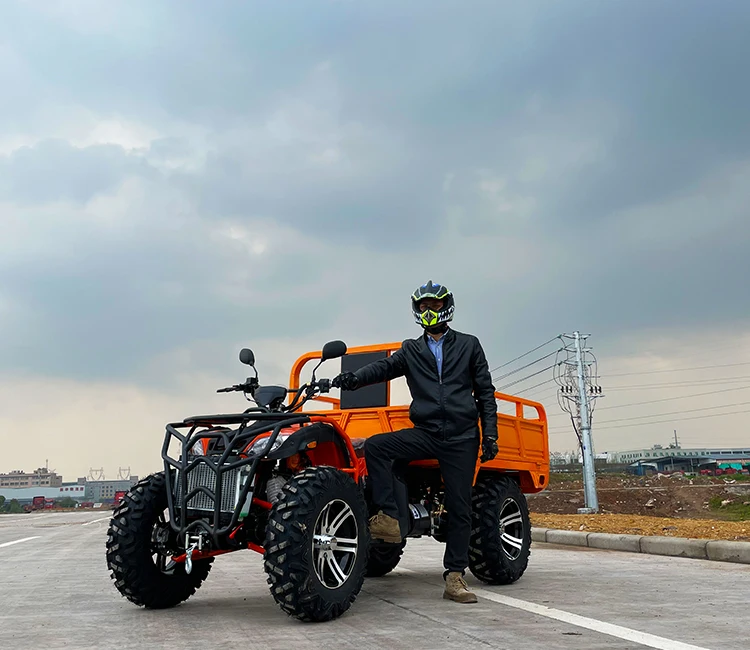 Hot Selling Veiculo Utilitario Agricola Zhejiang All Terrain Motorcycle By Side 4X4 Atv