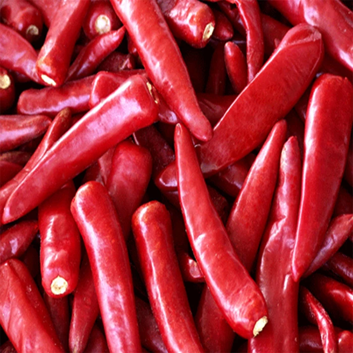Red Hot chili pepper wholesale Made  Jinta Chili Red Chilli Jinta