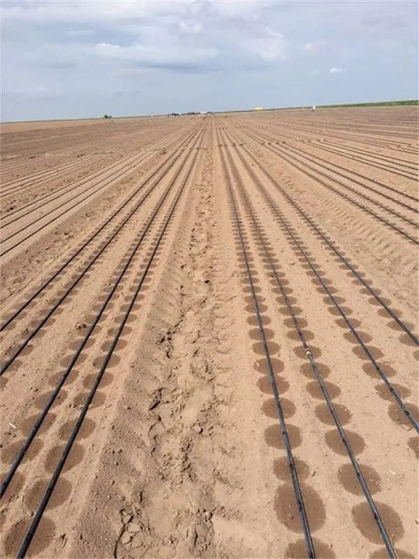 2024 hot sale China factory irrigation hose  irrig system 1 Hectare Model Agriculture drip Irrigation tape system farm drip tape