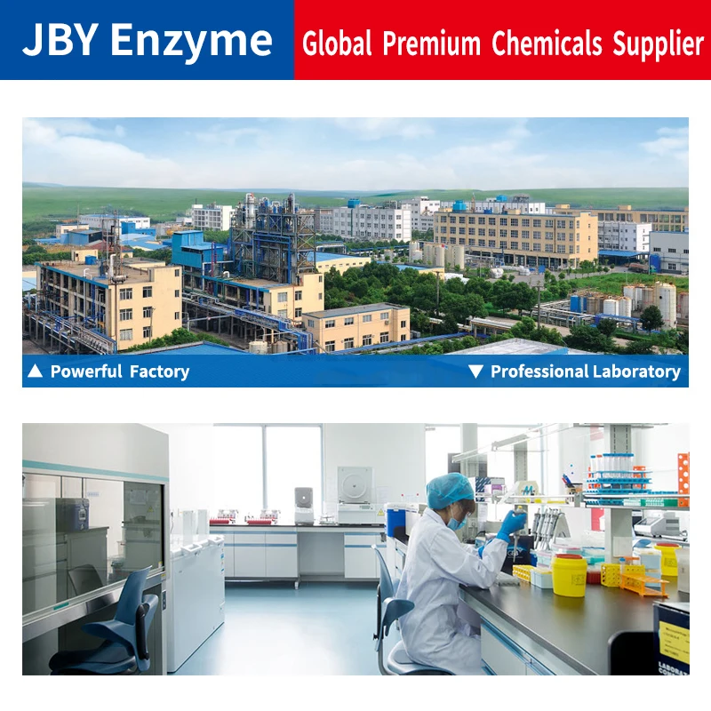 Food grade CMS CMS-Na carboxymethyl starch sodium for fruit juice drink yogurt milk ice cream instant noodles bread meat