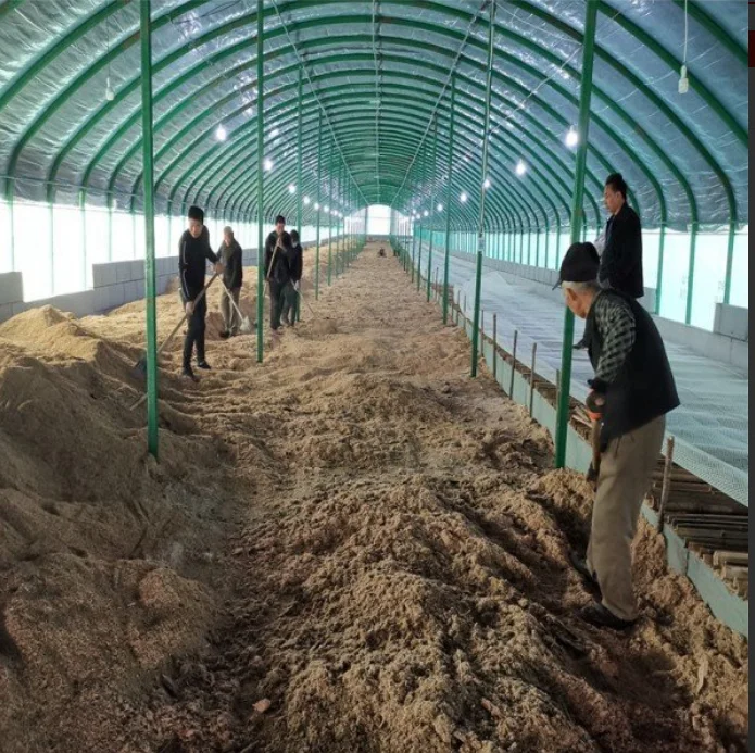 MAYJOY strong activity  Compost accelerator for faster composting  Starter cultures(whatsapp:008618137186858)