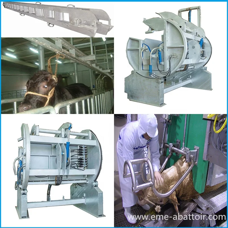 Halal Abattoir Machinery Ritual Cattle Slaughter Box Killing Machine for Bovine Cow Slaughterhouse Equipment