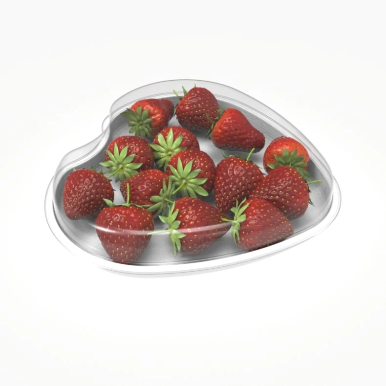 Eco friendly biodegradable customized compostable bagasse tomato clear food sandwich cake packaging blister box tray design