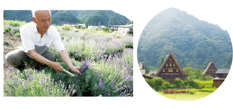 High Quality Luxury Health Herb Bag For Eco Friendly Personal Skin Care