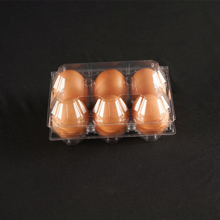 Wholesale PET Transparent Plastic Egg Tray Plastic Chicken Egg Tray Packaging Reusable Packing Crate for 6 Eggs