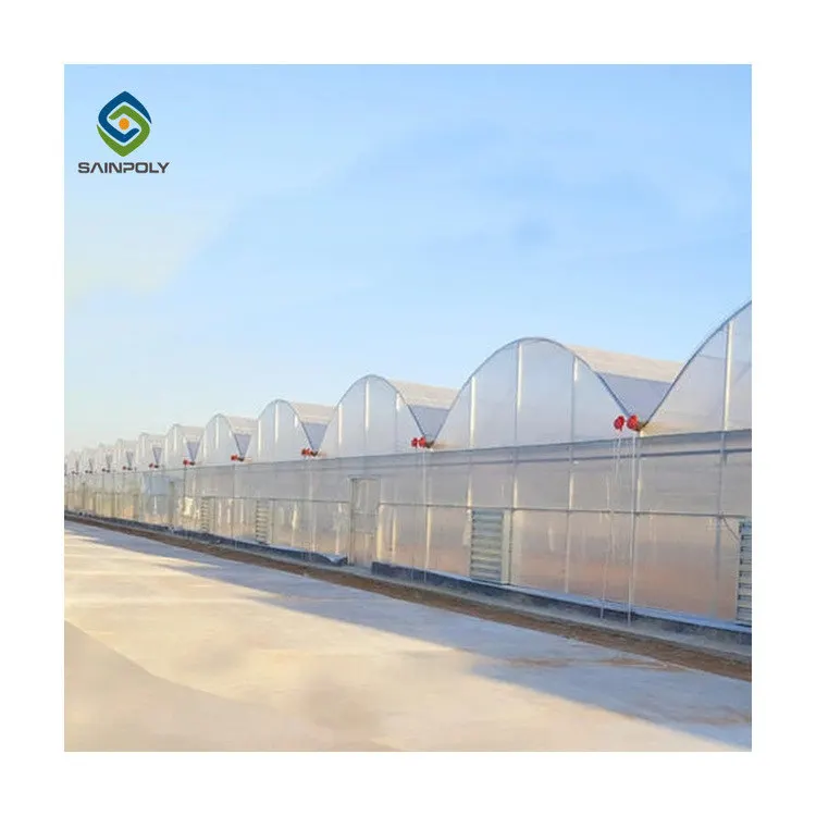 Commercial Plastic Film Tunnel Greenhouse Galvanized Agriculture Transparent Greenhouse Tunnel Garden Greenhouse