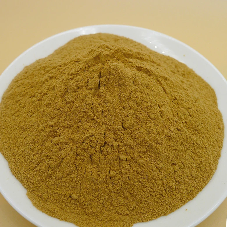 Top Grade Hedera Helix Extract 10% Dried Ivy Leaf Extract With Cheap Price