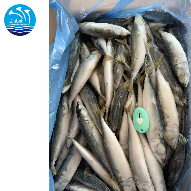 Seafood  manufacturer  Wholesale Fresh frozen Light catching IQF mackerel fish