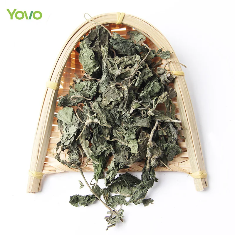 Bulk Wholesale Chinese Herbal Tea 100% Natural Dried Nettle Leaf Cut Green Nettle Leaves Tea UrticafissaE. Pritz.