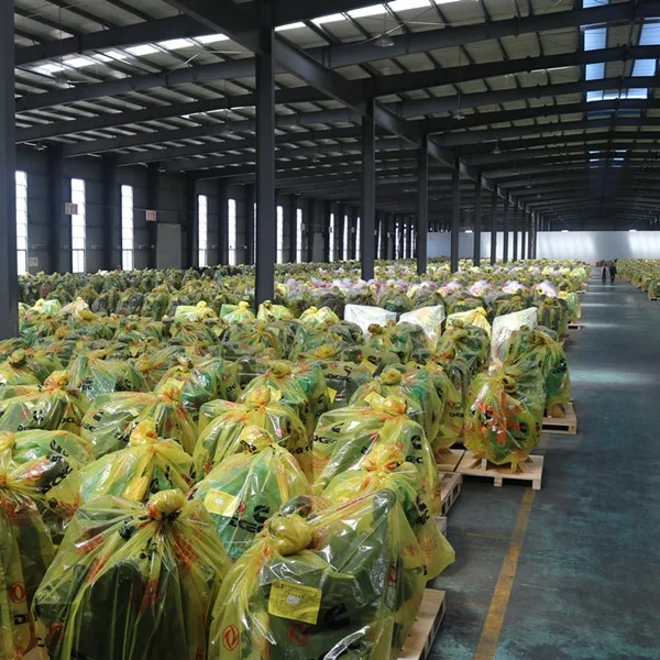 Wholesale Long Cylinder Block Construction Equipment QSC8.3 ISC8.3 Excavator Engine Spare Parts