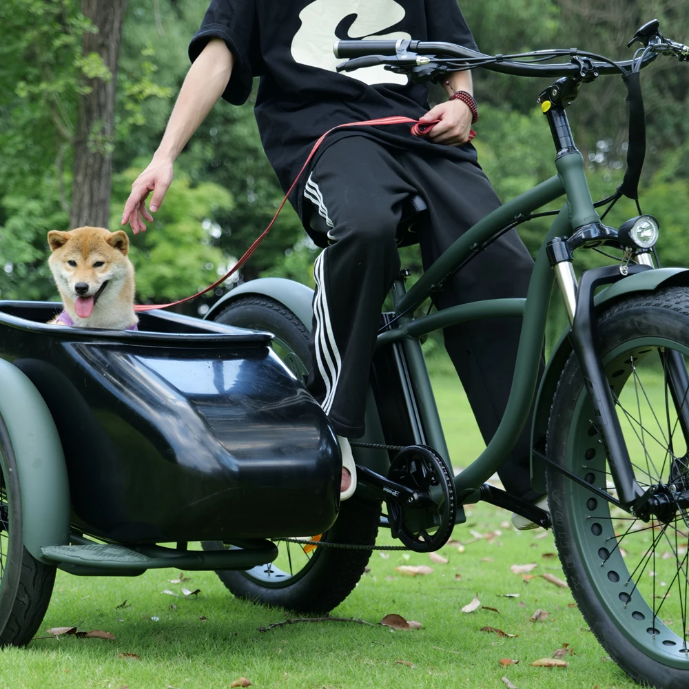 20inch fat tire side car electric bike conversion kit tricycle load children