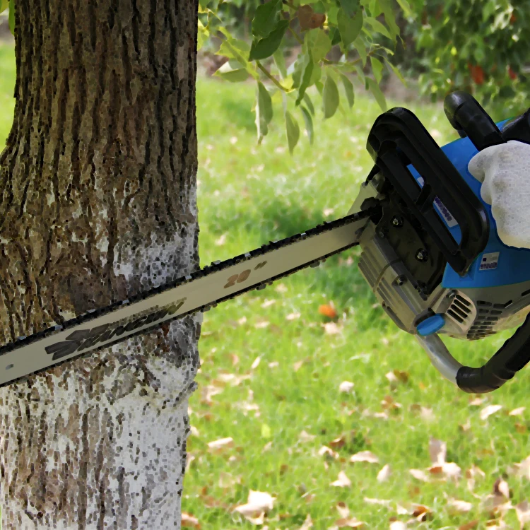 Fmai  wood cutter portable royal garden chainsaw 58cc Multifunctional Gasoline Chain Saw