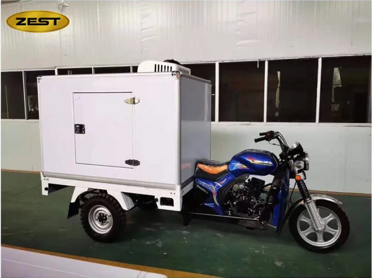 China best manufacture high quality chill car semi closed cargo tricycle with cabin for seafood delivery
