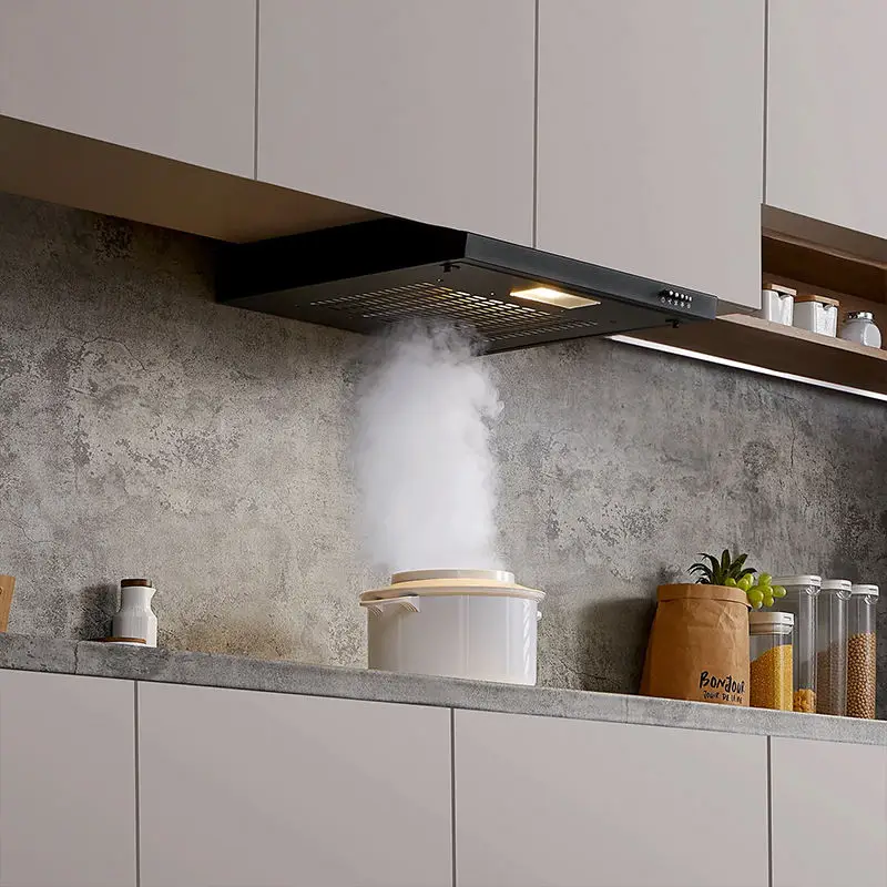 Popular Slim Hood with Filter Under Cabinet Kitchen Smoke Extractor Campana extractora Range Hoods for Household or Hotel