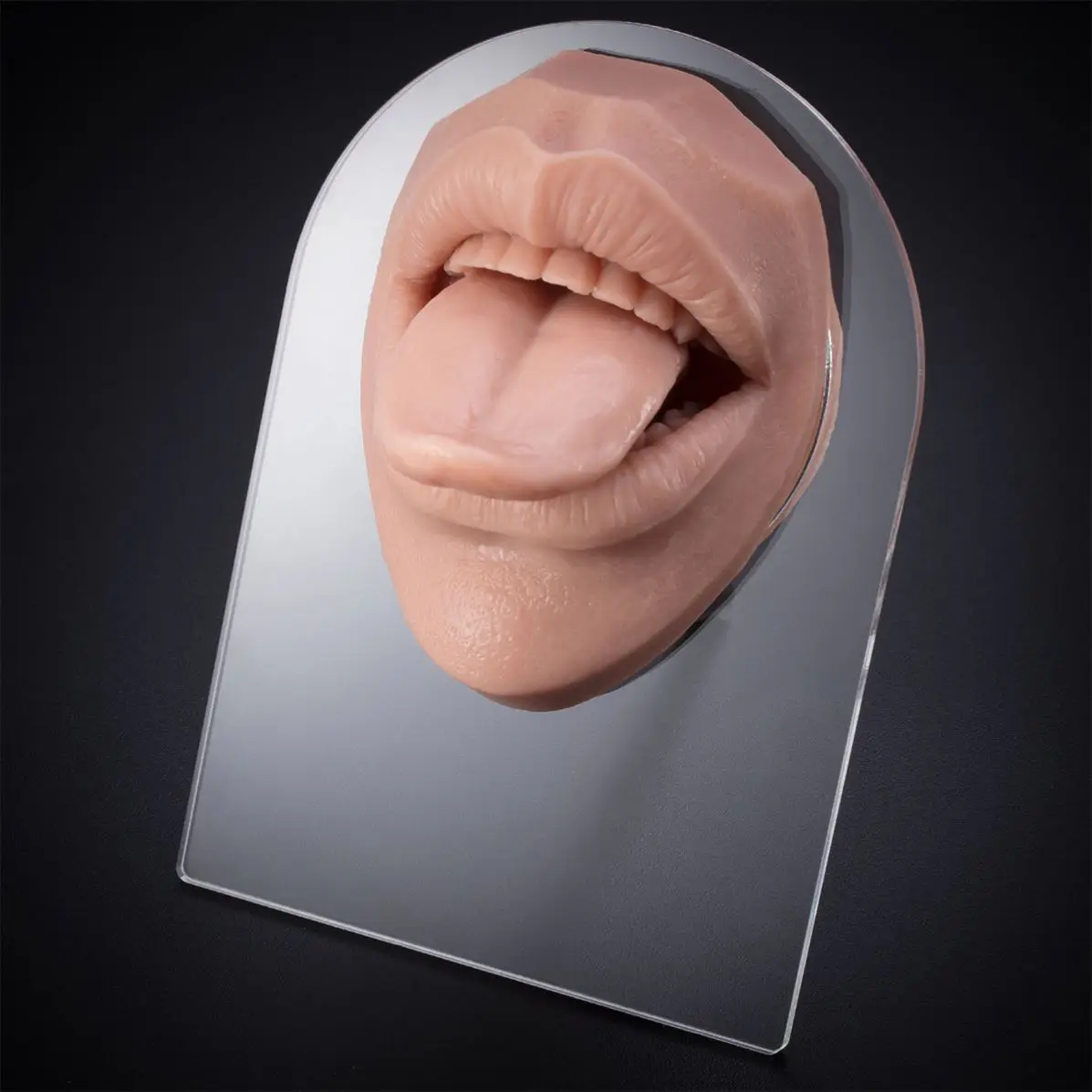 Tongue silicone body silicone model with open mouth is used for practicing or displaying tongue studs and lip studs