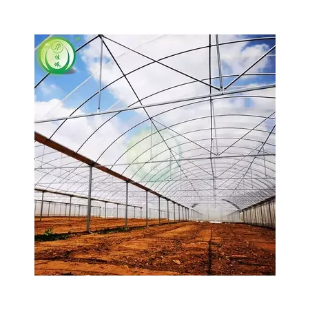 Jiapei Tomato Green House Large Hydroponics Multi-span Film Sheet Greenhouse with Tomato Growing System Large Large Solar Fans