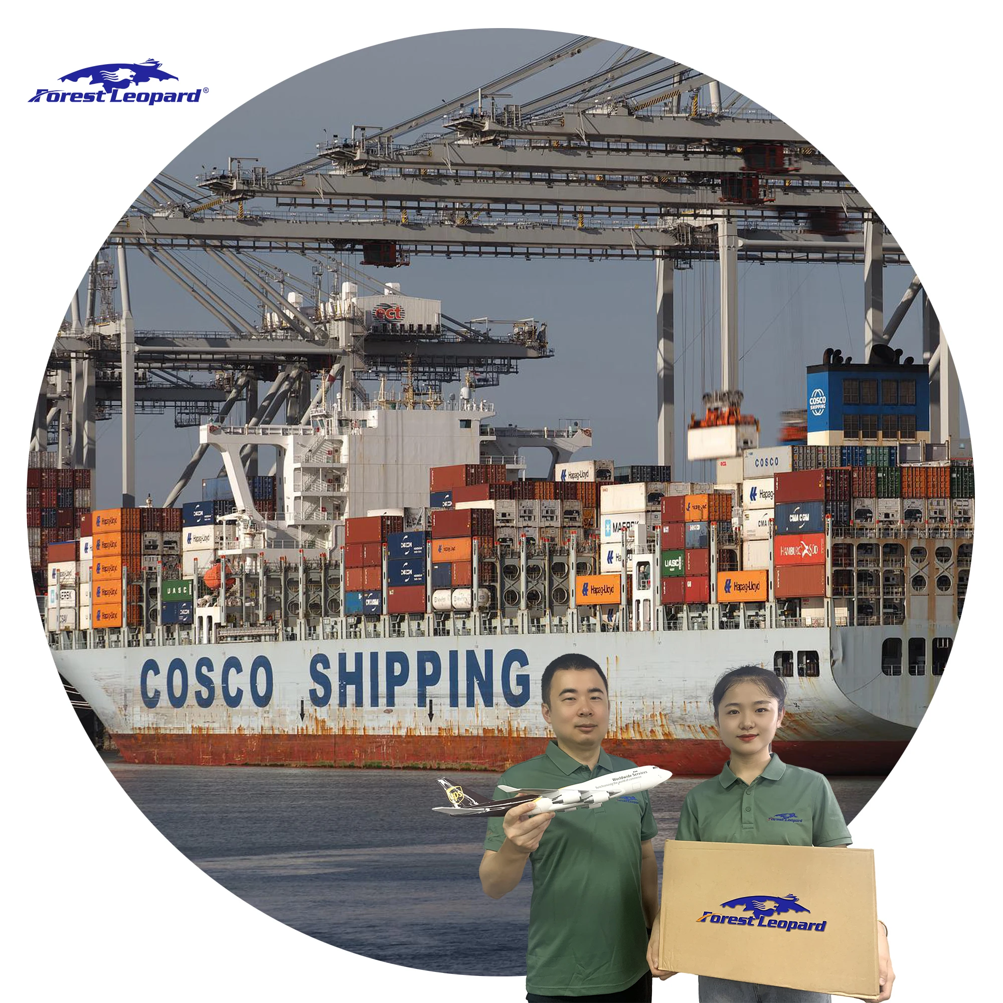 Free Sample logistics agent Seashipping china to portugal europe uk germany sweden belgium ireland greece albani LAS1