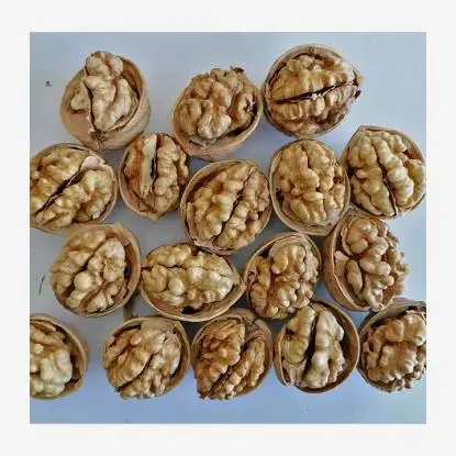  Тонкий; Приятные для кожи сырья 185 и xingfu грецкого ореха с оболочкой в оптовым ценам