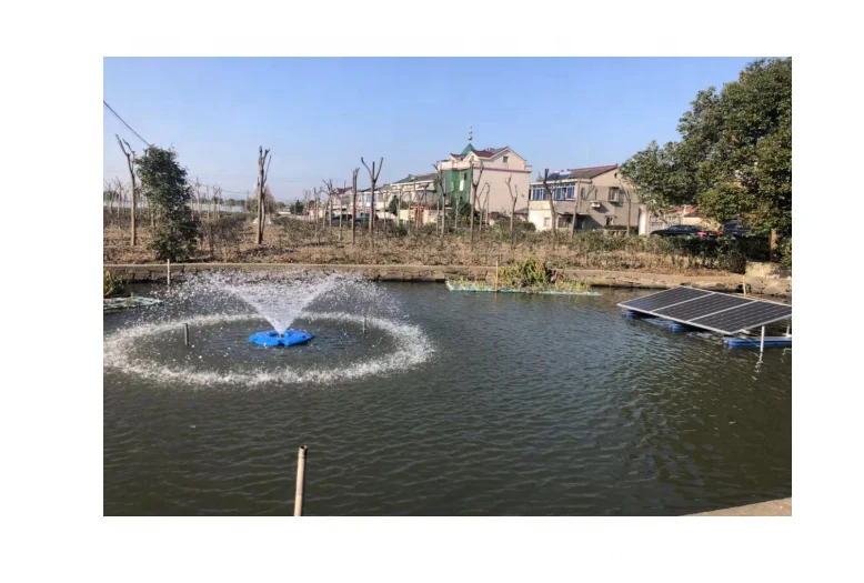 Solar aerater pump for fish pond