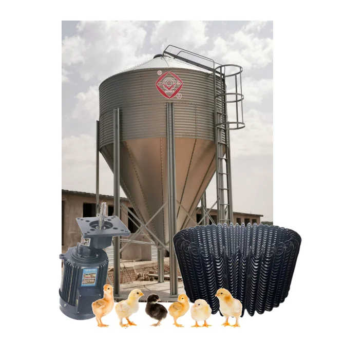 Silo Main Feeding System Broiler Chicken Farming Solutions Broiler Pan Feeding System and Drinking System Cheap Price