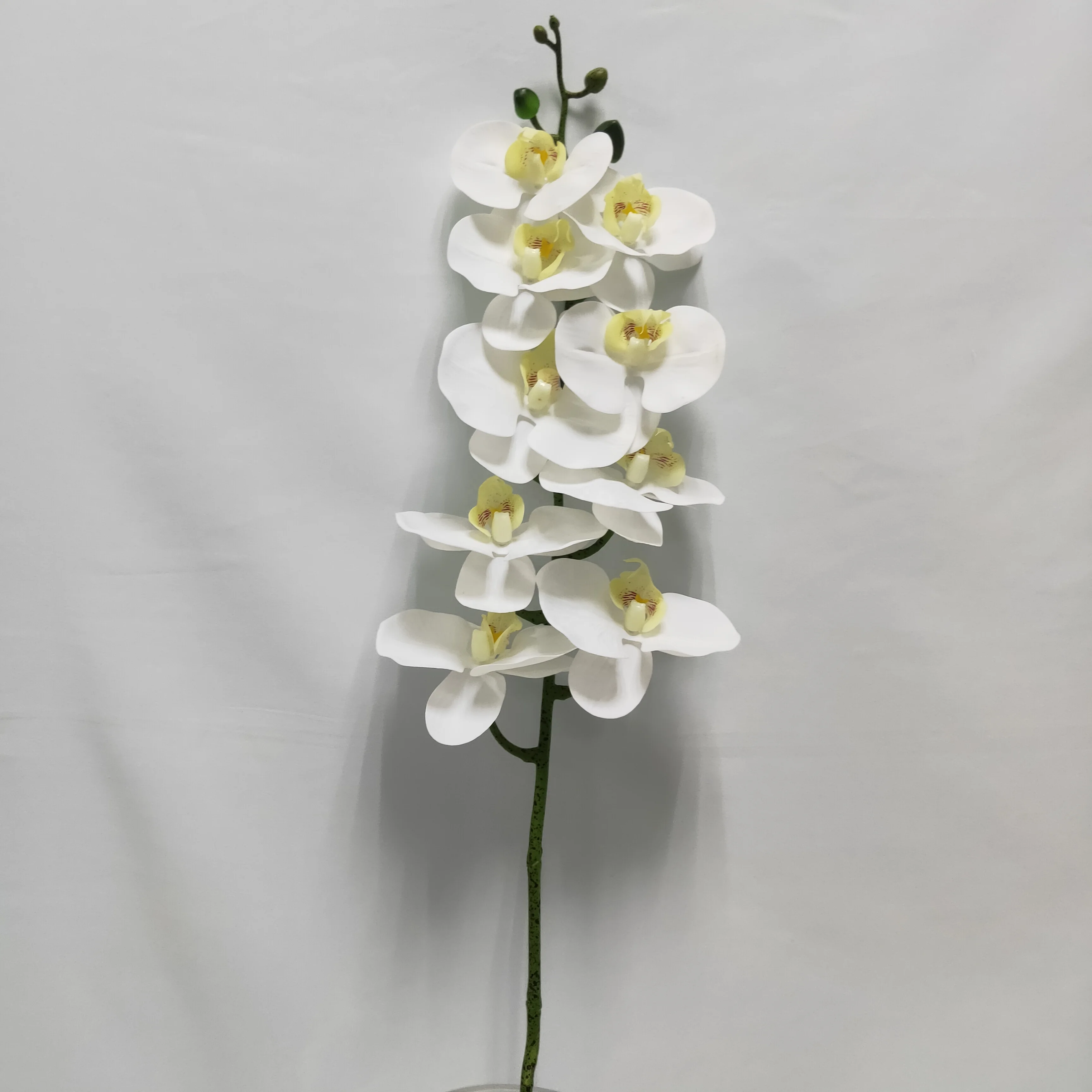 FC4001 9 heads real touch latex flowers artificial white orchids for sale