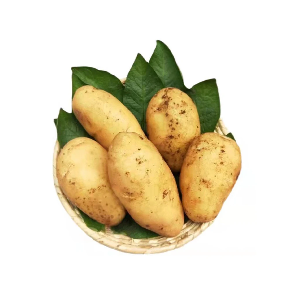 Hot selling cheap price vegetable fresh potatoes for wholesale