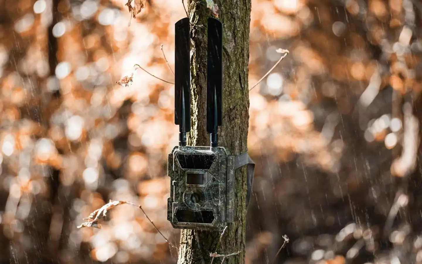 24MP 4G Trail Camera Wildlife Photos Traps with Wide Angel Lens 940nm No Glow LEDs MMS Email For Hunting Willfine 4.CG-PRO