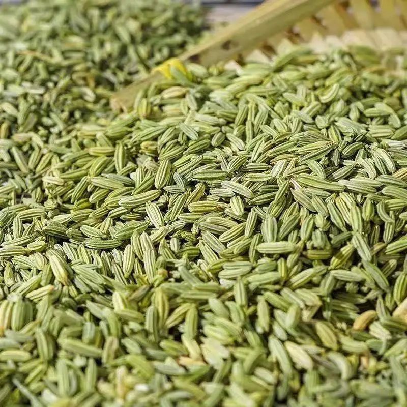 ZZH Top Grade Organic Fennel Seeds Wholesale Price 100% Natural Dehydrated Fennel Seeds Manufacturer