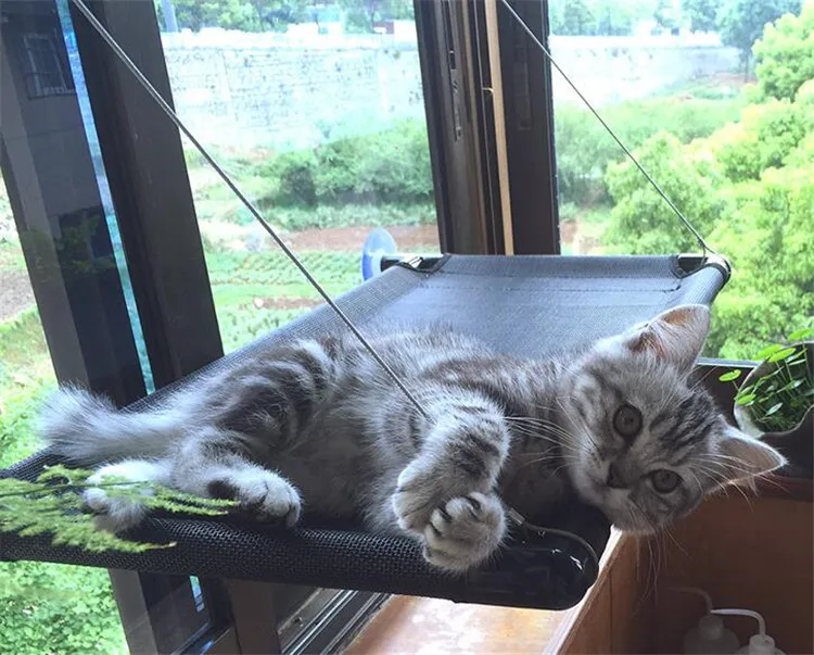 Hot selling cat hammock window hanging sucker hanging bed swing cat sunbathing cat sofa