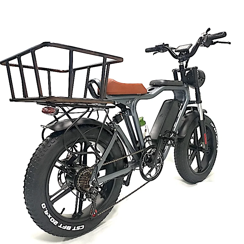 48V 1000W 22Ah Battery 20Inch Full Suspension Electric Fat Tire Family Cargo Bike Bicycle