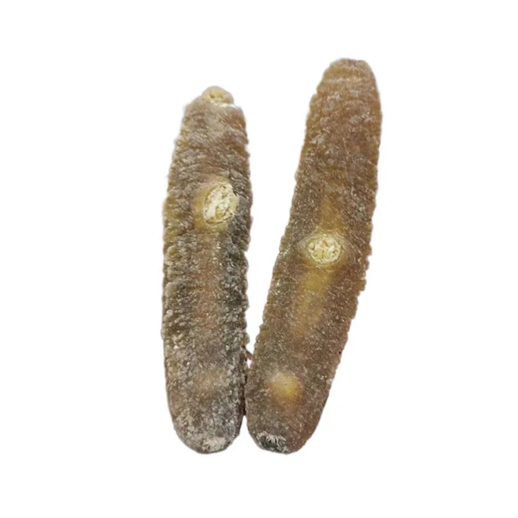 High Quality Round And Smooth Tube Sand Cucumber Dried Sea Cucumber From Australia