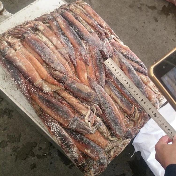 150-200 г, замороженные морепродукты, живой кальмар для продажи