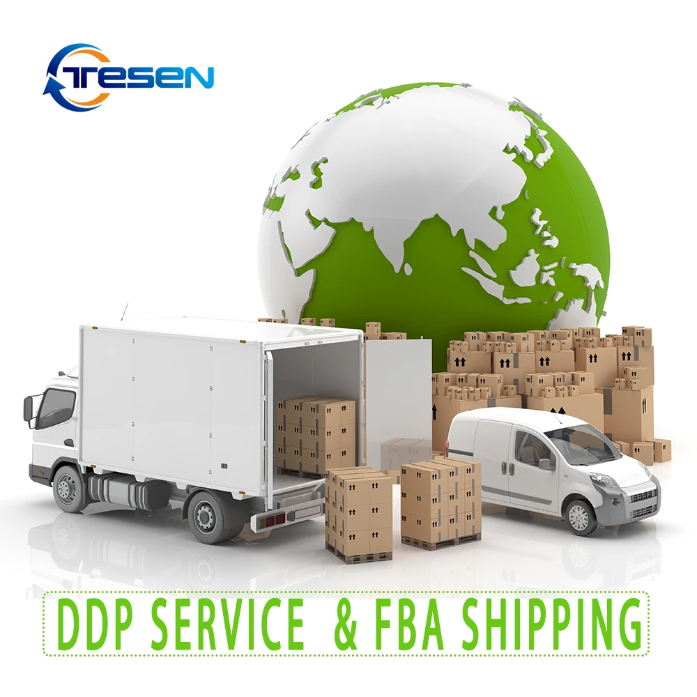 DDP service sea freight forwarder  door to door sea agent from shezhen Dropshipping from China to USA CA AU EU