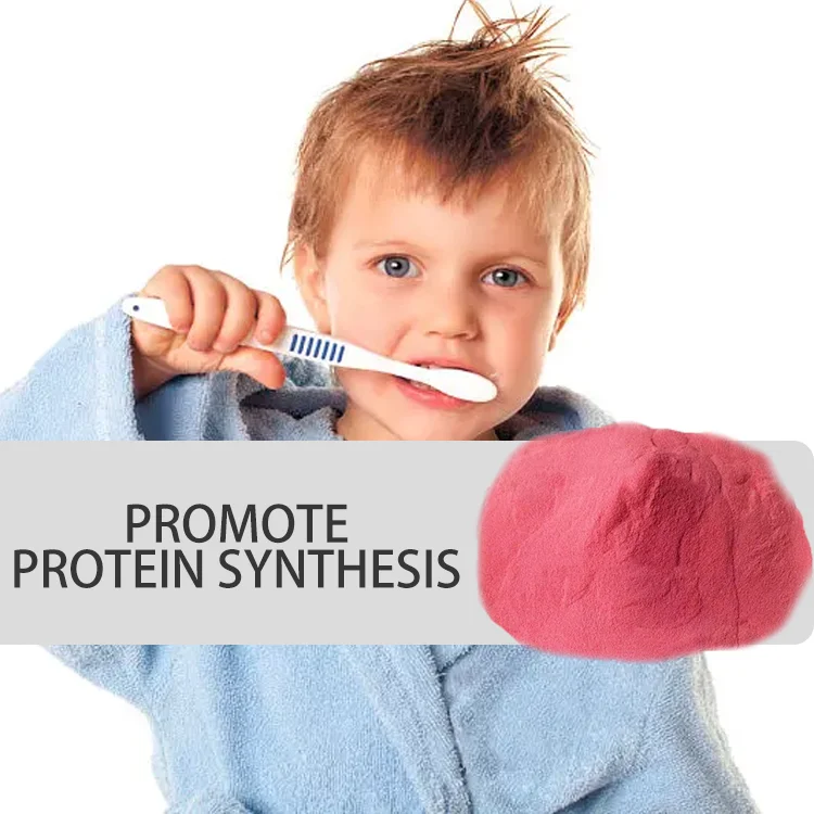 factory manufacturers supply best quality gummies powder bulk 25kg energy drinks vegan vitamin b12 patch