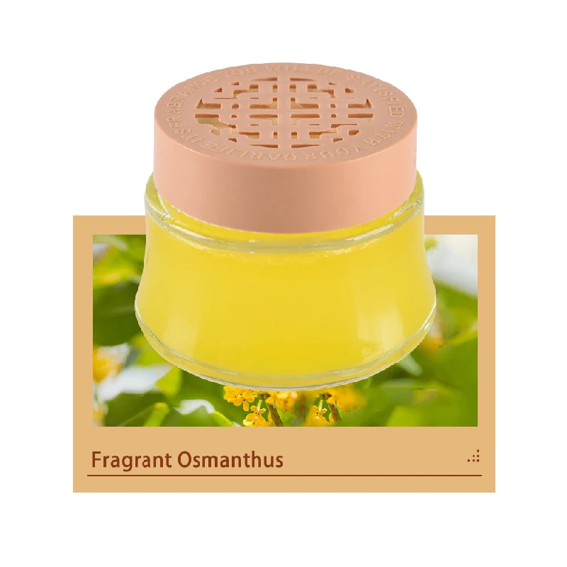 Rayshine custom Freshen Home Car long lasting Mint Fragrance Scent solid gel for air fragrance 100 G
