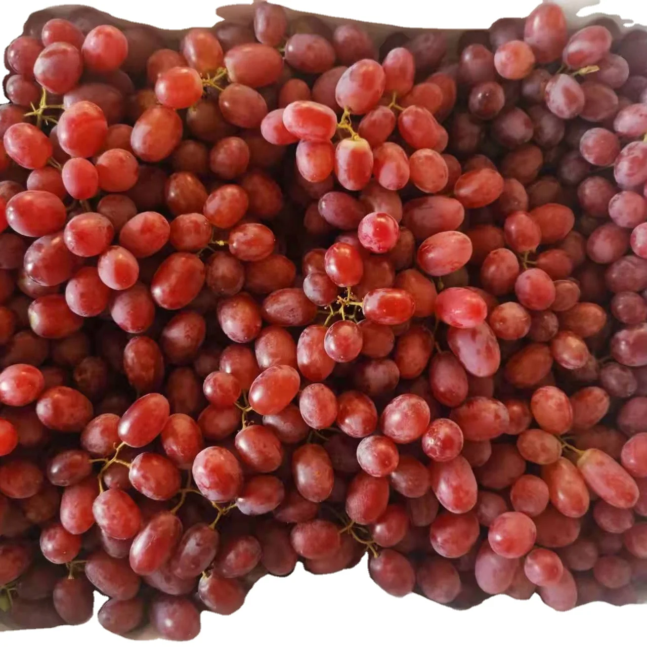 2022 fresh Bulk Fresh Grapes Red Grapes Seedless Grapes For Export sale