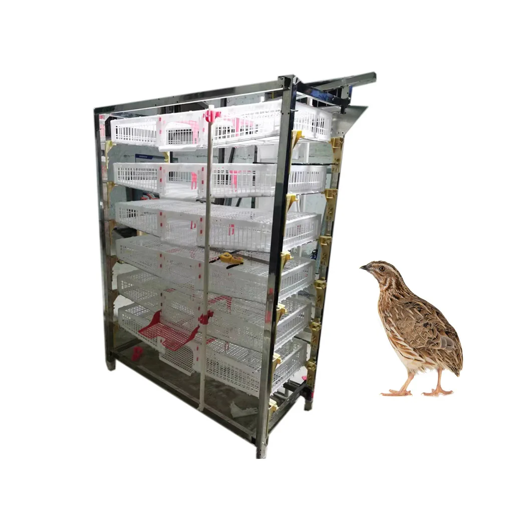 Agricultural equipment 6-layer quail cage animal cage stainless steel frame plus plastic